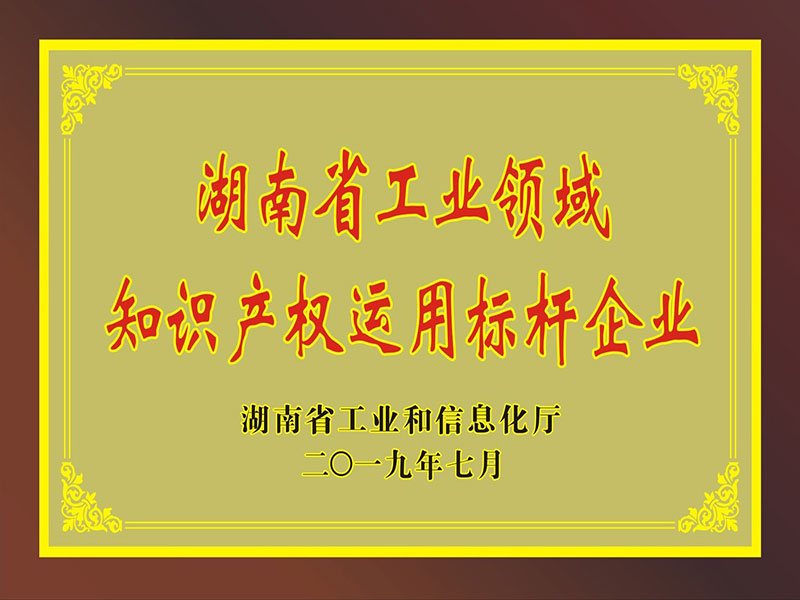 2019年湖南省工业领域知识产权应用标杆企